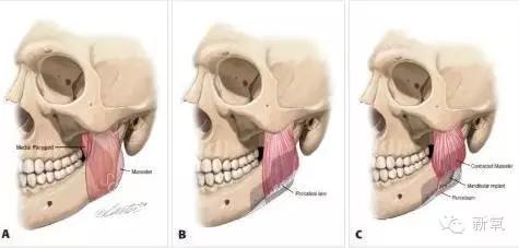 倪妮一样有气质的女明星,倪妮惊艳的时尚女神