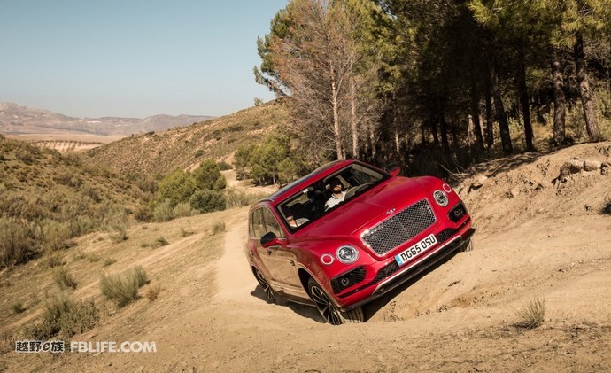 豪华与品味的完美融合,豪华和质感的结合