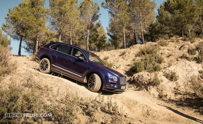 豪华与品味的完美融合,豪华和质感的结合