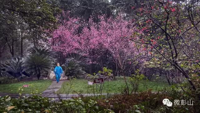 澶у江灞辩殑缇庢櫙,褰北鏄ュ鏃呮父