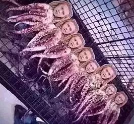 罗志祥的八爪鱼好吃吗,罗志祥合肥