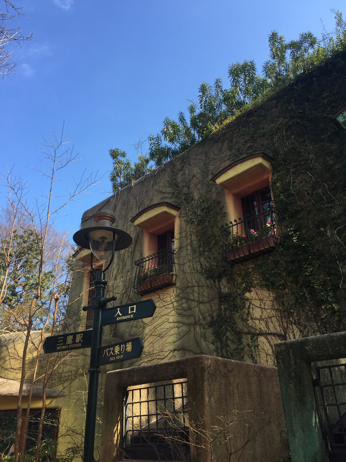 日本的冬天依旧色彩绚烂,冬季日本的冰雪日照