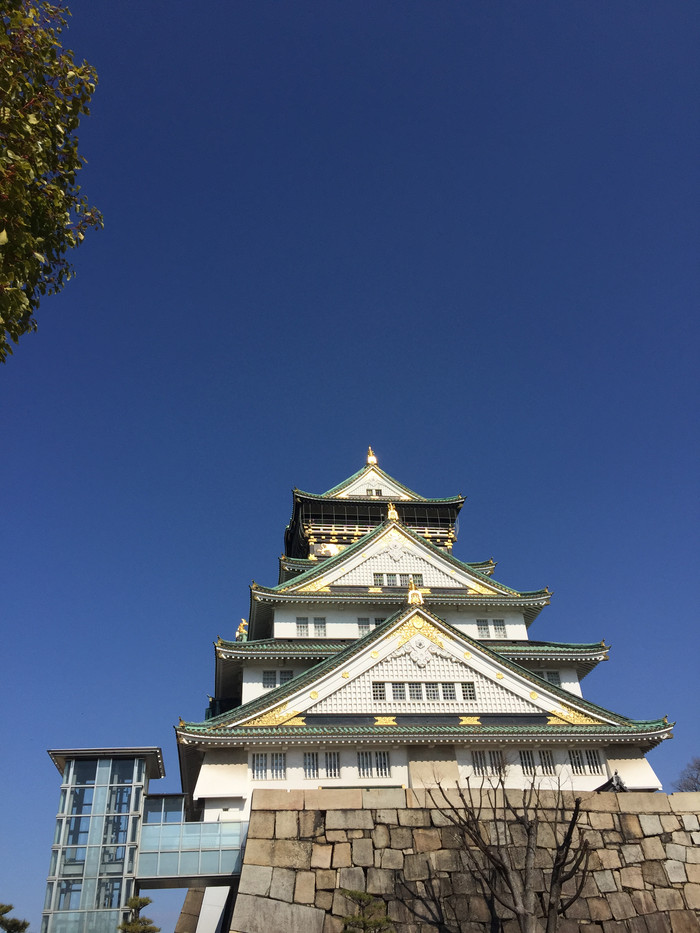 日本的冬天依旧色彩绚烂,冬季日本的冰雪日照
