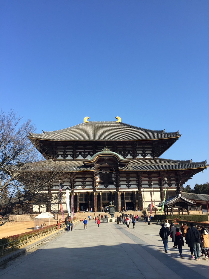 日本的冬天依旧色彩绚烂,冬季日本的冰雪日照