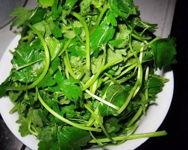 糯米艾叶饭,端午节艾叶美食