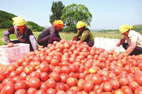 脱贫攻坚地方特色,吕梁脱贫攻坚的特色有哪些