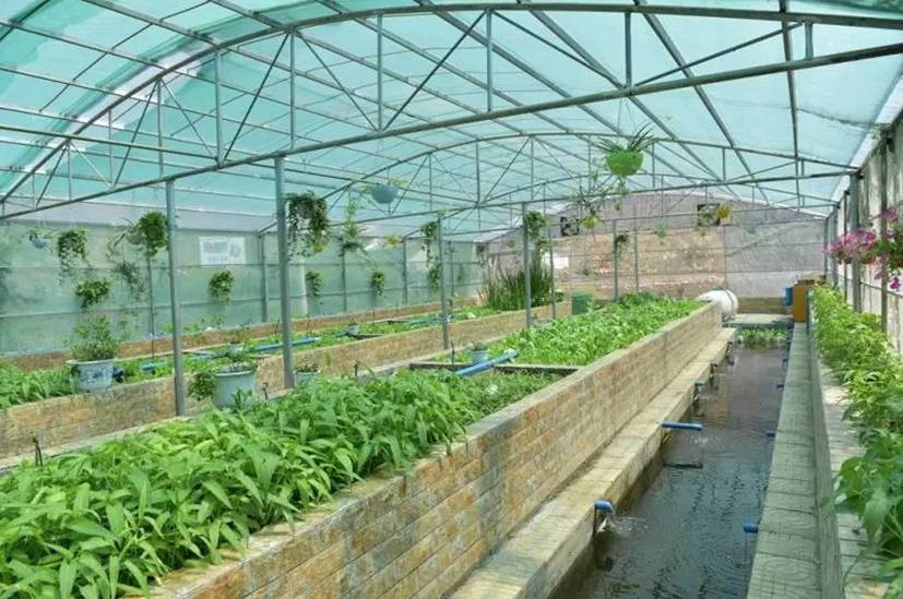 有日照的日子，都不辜负｜听台商李贤治在川“务农”的“庄园经”