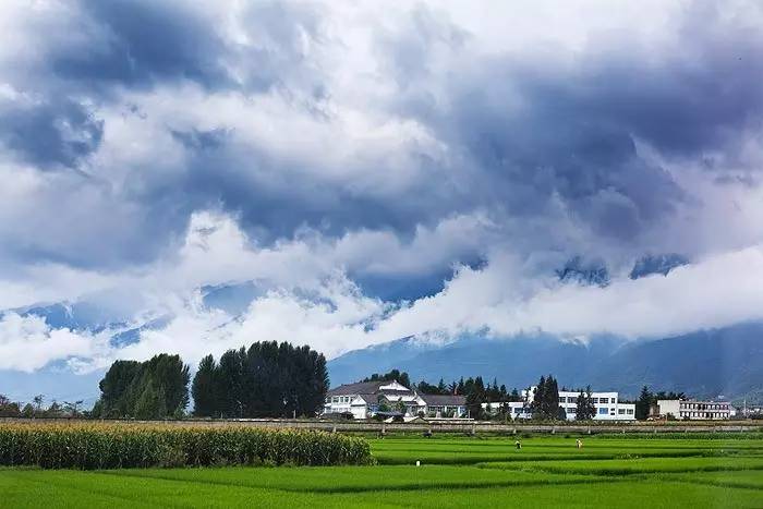 夏天就该去玩,夏天就去丽江旅游