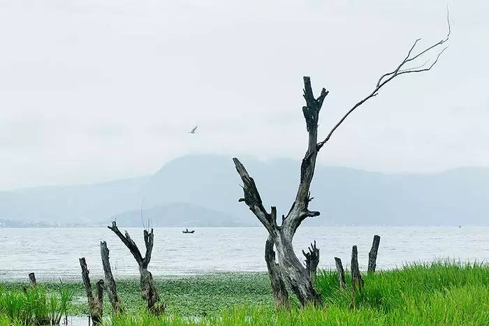 夏天就该去玩,夏天就去丽江旅游