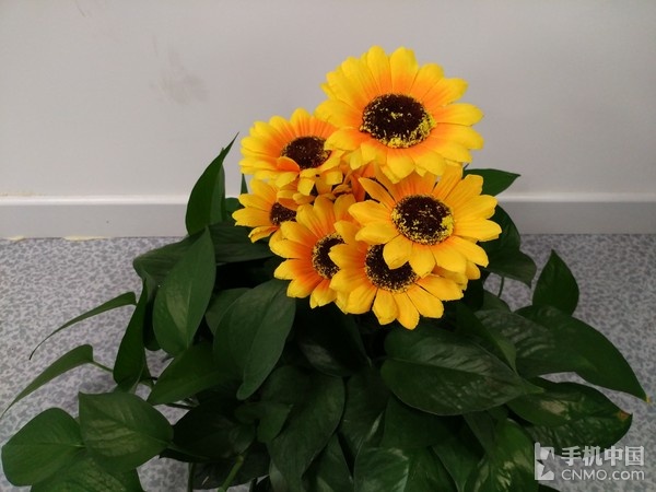 小米5splus跑分多少,小米5splus跑分是多少