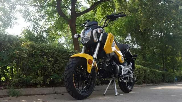 洛嘉摩托车都出口哪些国家,洛嘉摩托都有什么型号的