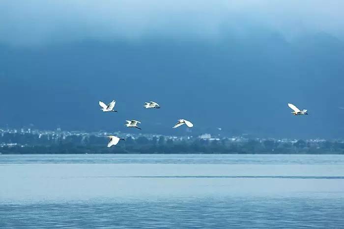 夏天就该去玩,夏天就去丽江旅游