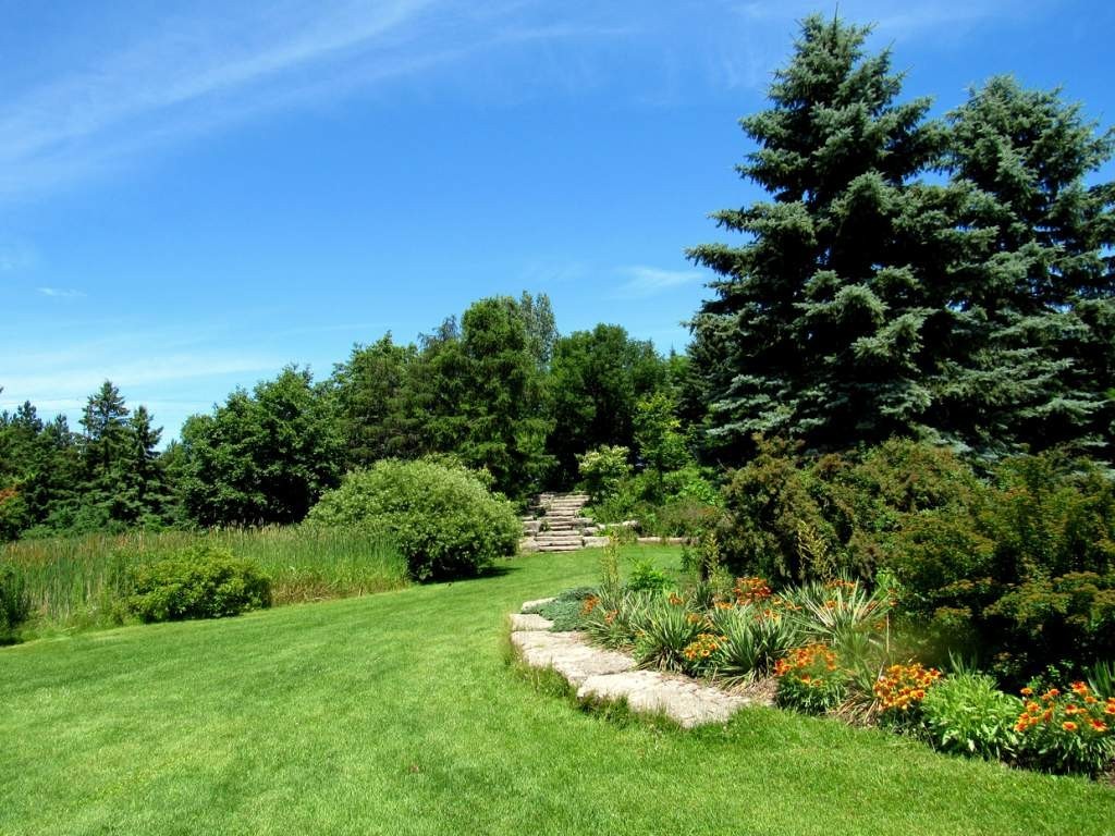 夏日来袭！拿起寂寞的烧烤炉一起BBQ吧