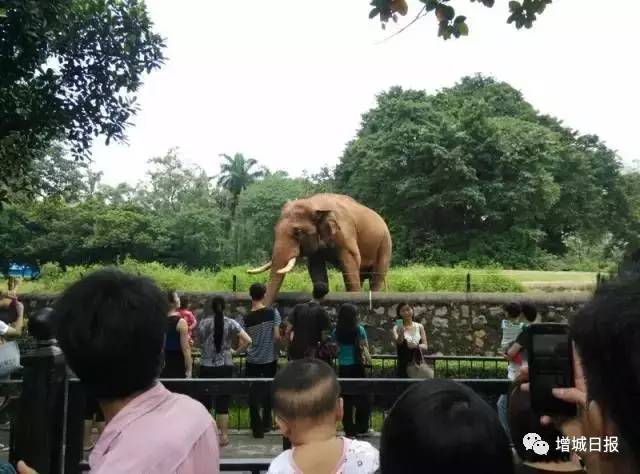 增城免费旅游景点攻略,增城必去十大免费景点小白云山