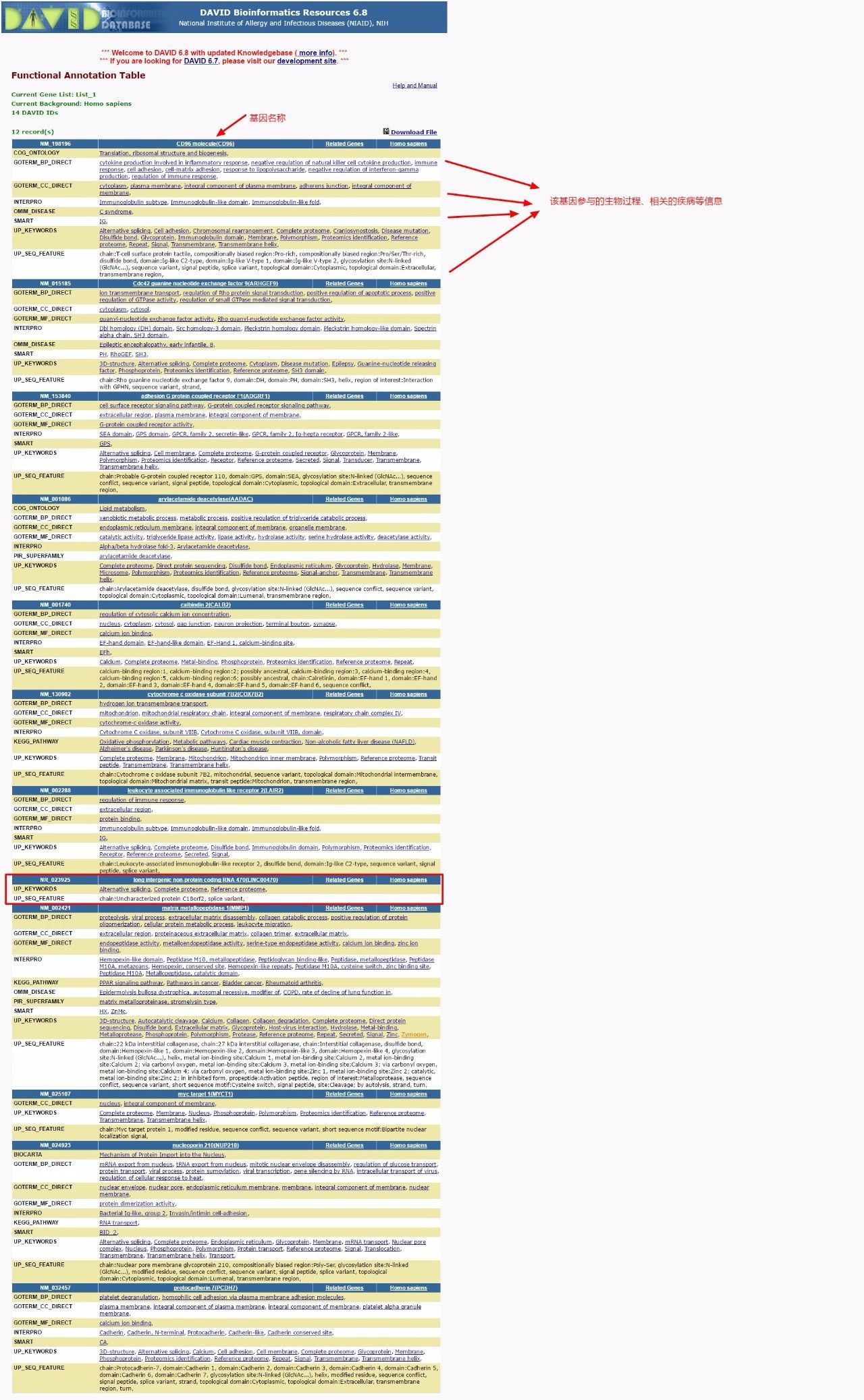 不了解生信？没关系，手把手教你从GEO数据库里挖掘一个课题！