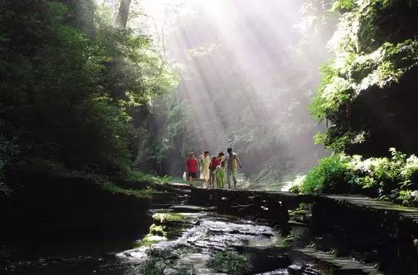 为什么要去四川广元,对不起我要去钟祥了图片