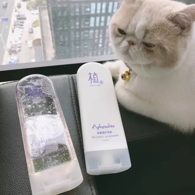 洗头一天就出油用什么洗发水,头发越洗越油是不是用错洗发水