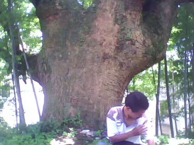 菱行（环中原骑行）5/21篇江西景德镇——浙江杭州