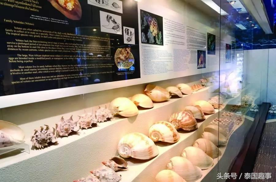 去曼谷只会中文,曼谷风景区有哪些