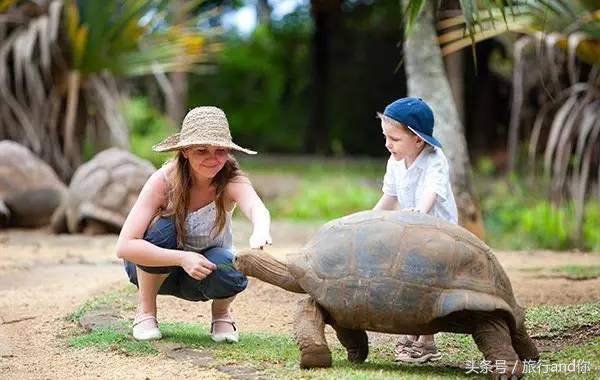 世界最合适举行婚礼的海岛,世界第一海岛婚礼