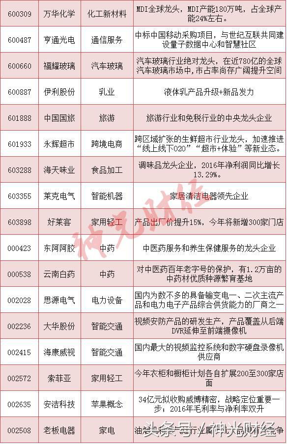 三大板块的股票分析,超高利润的10只冷门白马股名单
