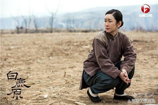 白鹿原田小娥与冷秋月,白鹿原女人为什么会死