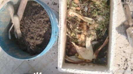 种花没有瓦片,营养土能够种花吗怎么配制