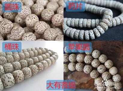 星月菩提文玩相关知识,星月菩提老籽科普介绍