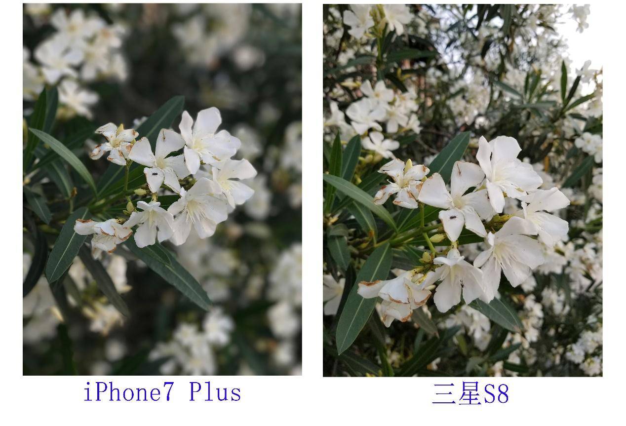 三星S8体验：不是简单的“机皇”，而是全能领袖！