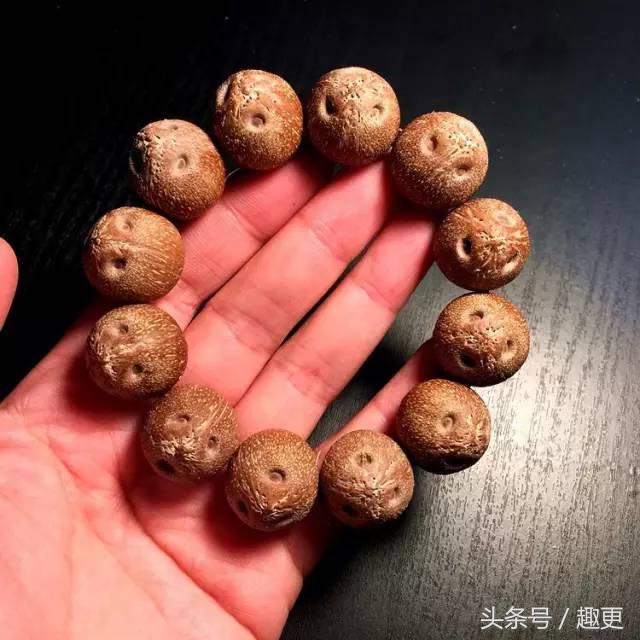 这些玩物真是重口味到没朋友，胆小点都怕惹祸上身……