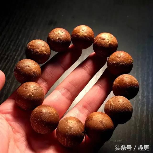 这些玩物真是重口味到没朋友，胆小点都怕惹祸上身……