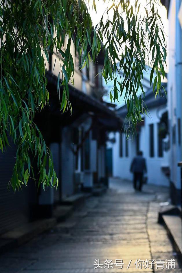 朱家角6路时刻表,朱家角西湖街176弄