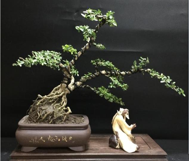 晋剧六月雪斩窦娥全场,小沈阳六月雪斩窦娥全剧