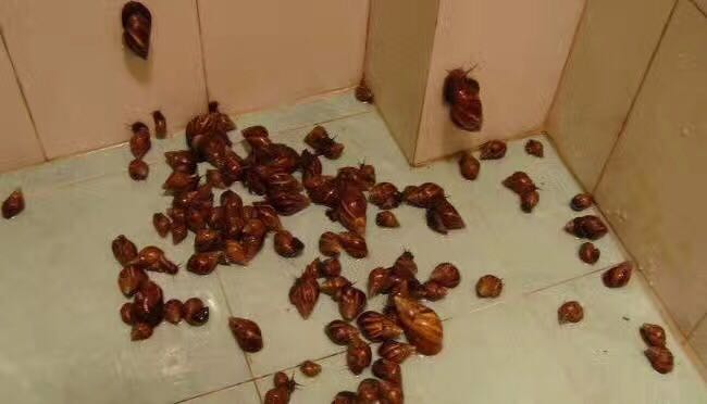 为什么用很多面膜不白,为什么以前用面膜好现在不好了