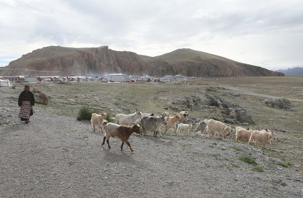 纳木错中国第几大湖是哪个湖,纳木错号称世界上最美最干净的湖