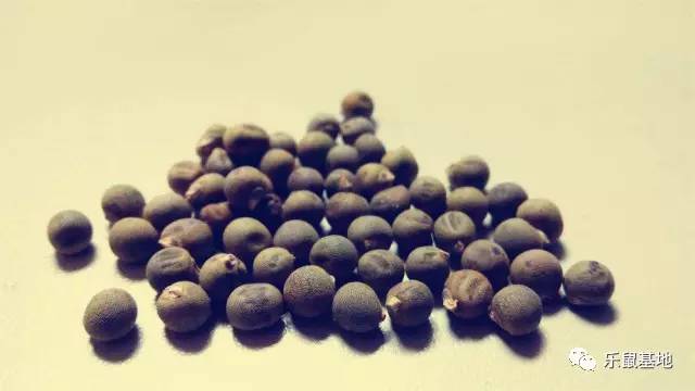 小秋葵有什么好吃的,夏天要多吃秋葵教你新吃法