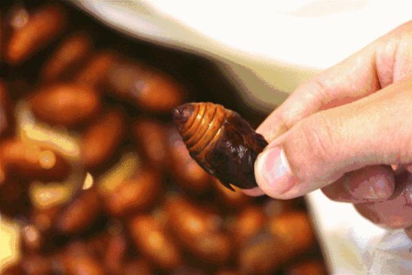 三款令人不可思议的美食,这些神奇的美食让你更惊艳