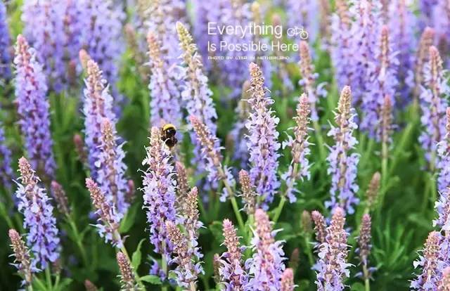 穷游记泰国,穷游记日本