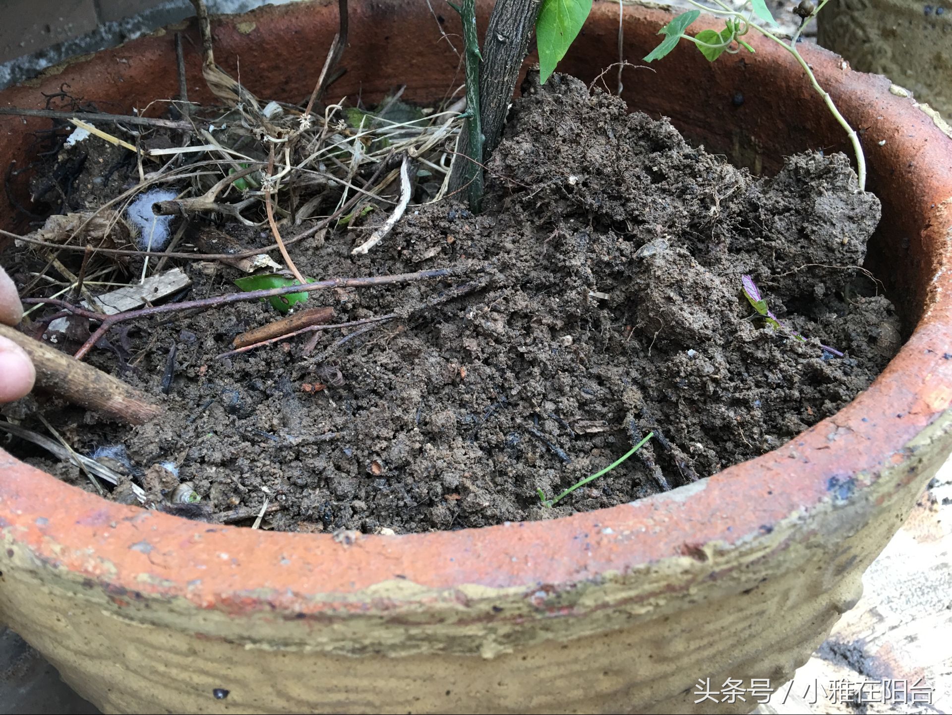 种花没有瓦片,营养土能够种花吗怎么配制