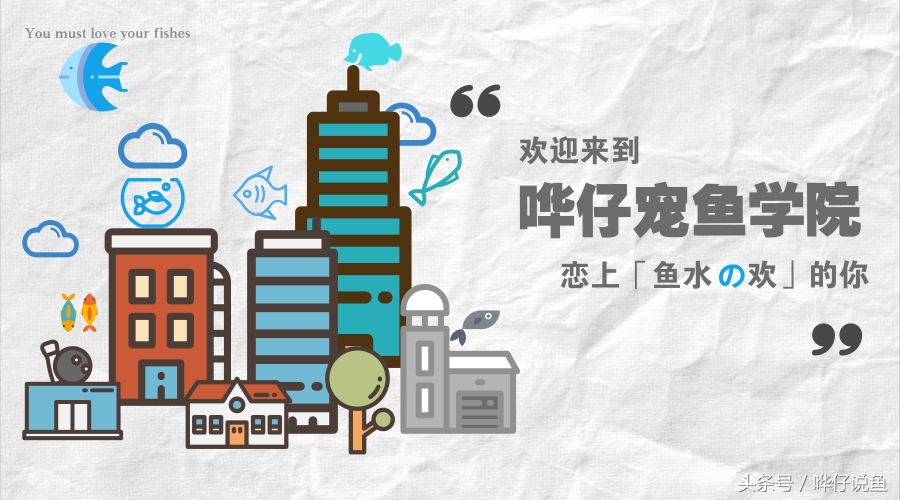 绝对养不死鱼的养鱼小技巧,鱼缸养鱼怎么养不死鱼