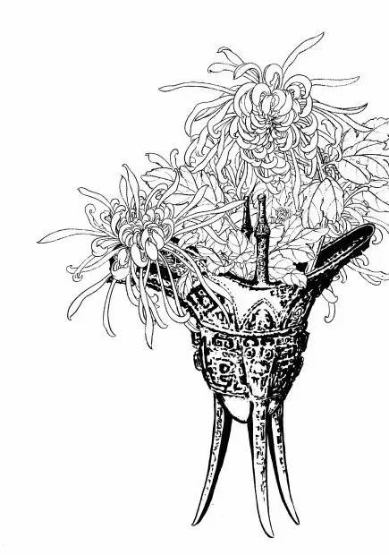 菊花白描工笔画图片大全,国画菊花鸟类白描教学视频