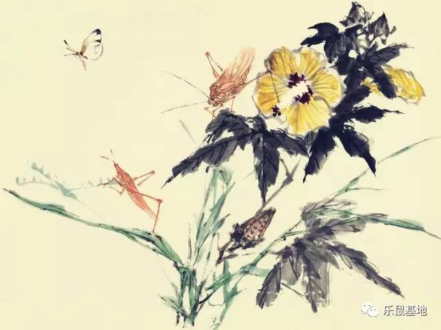 小秋葵有什么好吃的,夏天要多吃秋葵教你新吃法