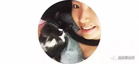 为什么猫能够让一个人的心情变好,猫能使人成熟的从来不是岁月