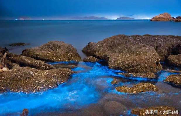 大连沙河口西岗中山哪个区最大,大连市区中山西岗沙河口
