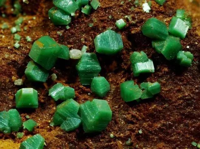 为了这些奇葩的颜料，人类付出了最惨痛的代价