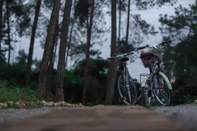 制陶、染布、品美食，6月24—25日，来成都仁和春天感受明月村的诗意生活