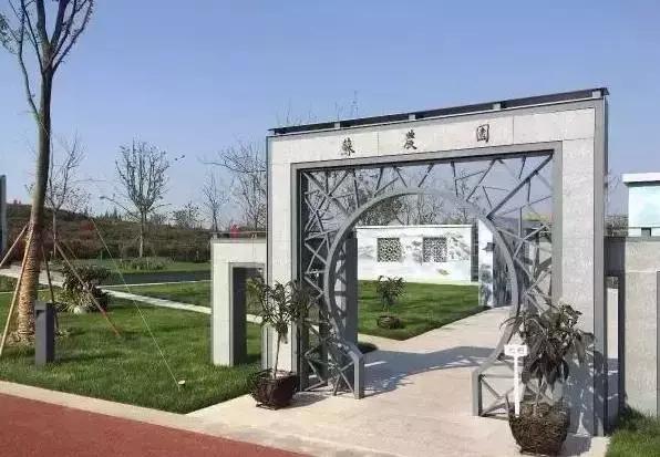 邂逅苏农,苏农视频