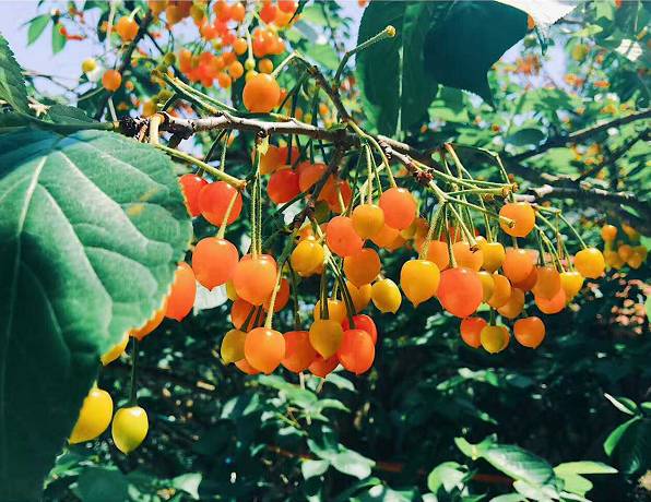 连云港生活是怎样一种感受,在连云港生活的感受