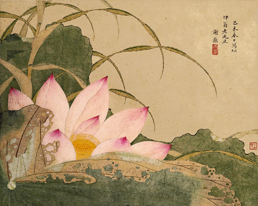 荷花翠鸟图国画寓意,有寓意的植物山水画