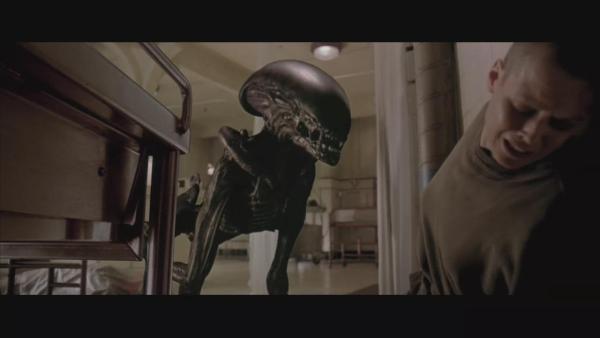 异形契约深度剖析,异形契约深度解析图